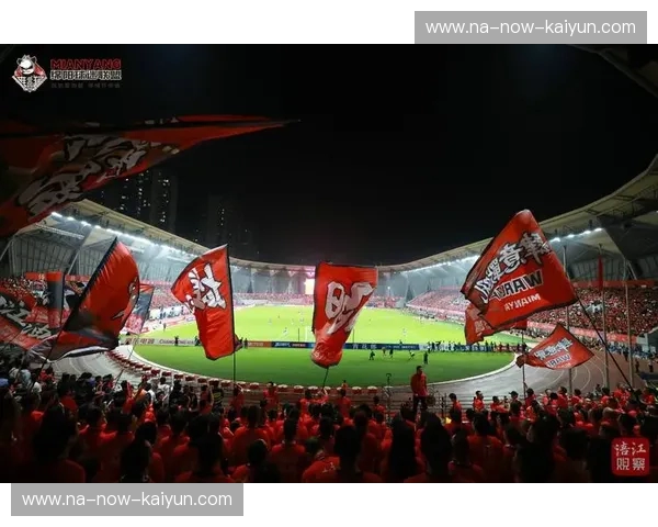 NFL,点燃你的激情:从赛场到生活的无限能量 NFL,点燃你的激情:从赛场到生活的无限能量